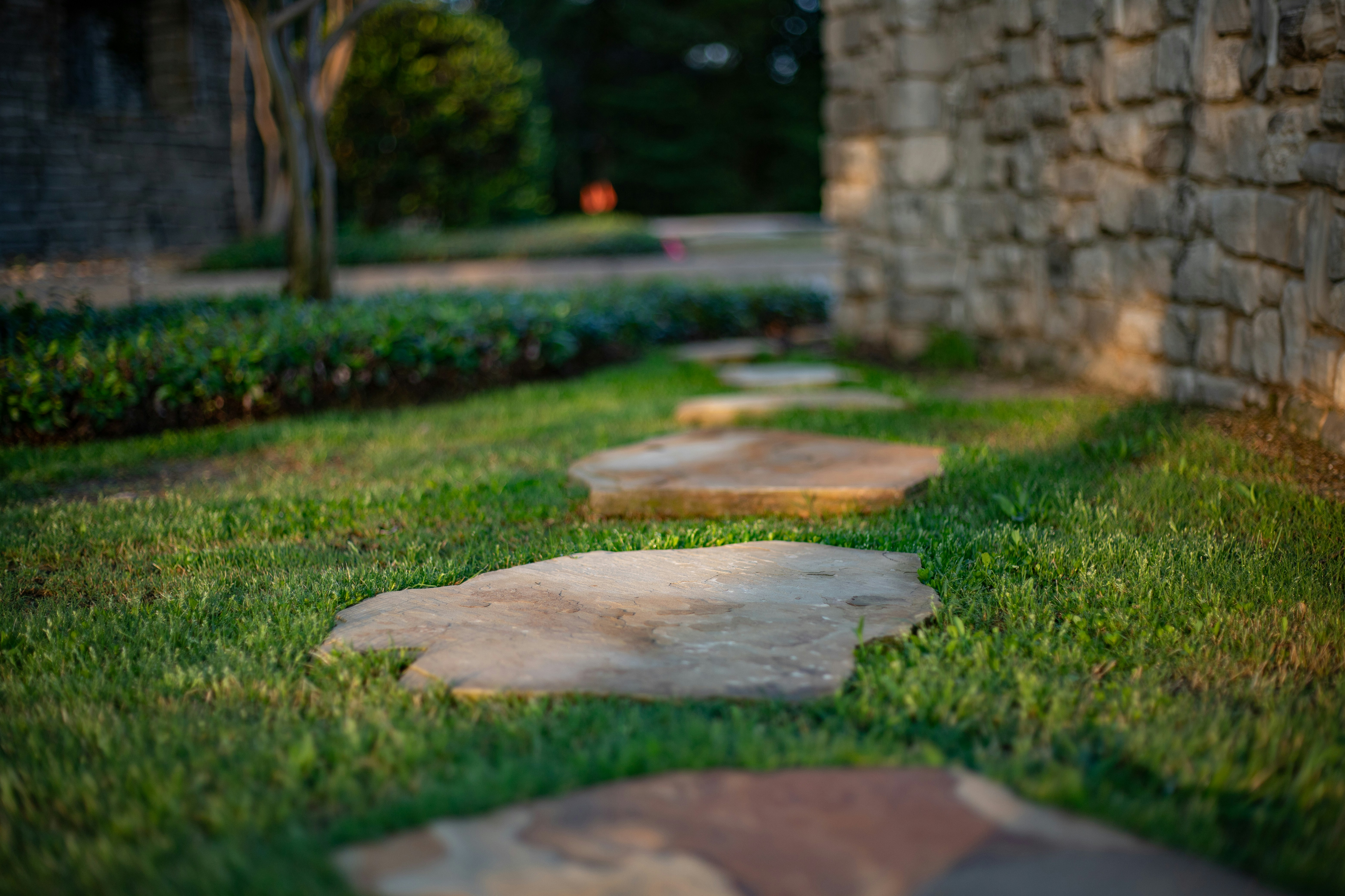 Natural stepping stones in a yard