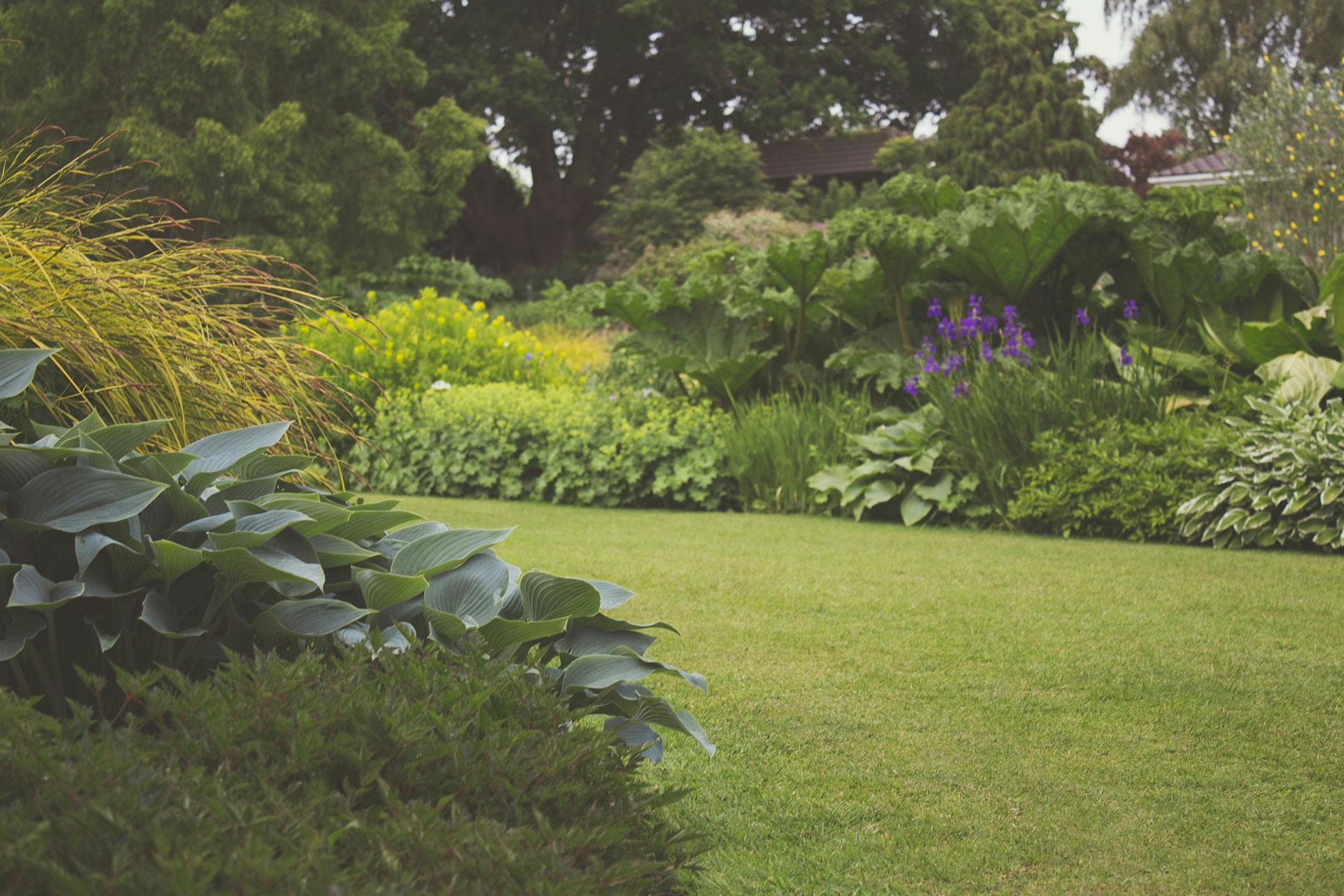 Large yard bounded by trees and flowerbeds