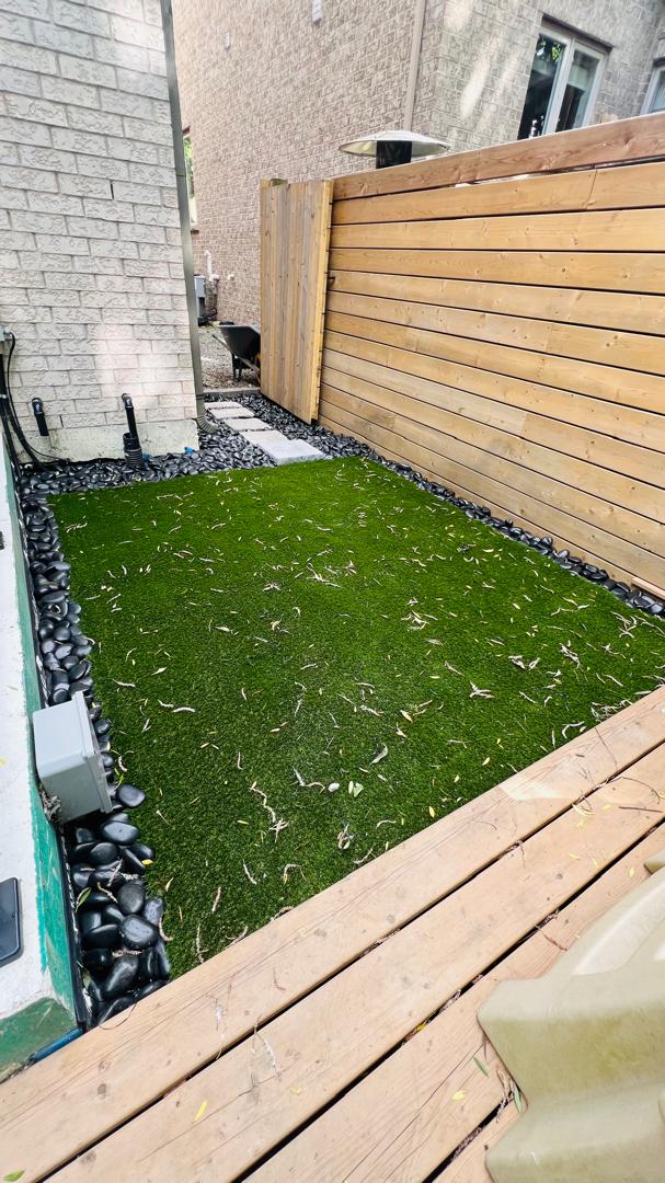 Lush green sod turf lawn installation